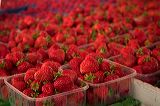 strawberries_5866