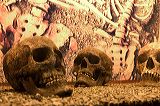skulls_5991