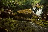 waterfall_5798